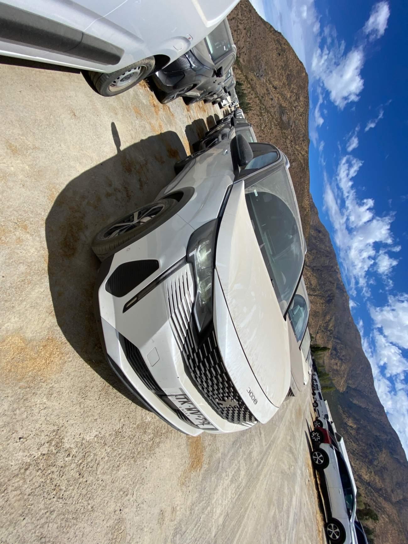 Station Wagon Peugeot 3008