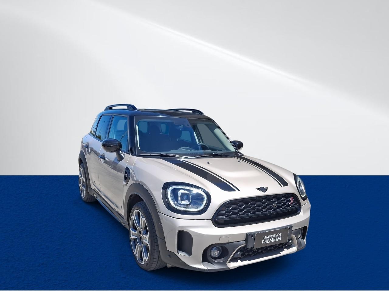 Station Wagon Mini Countryman