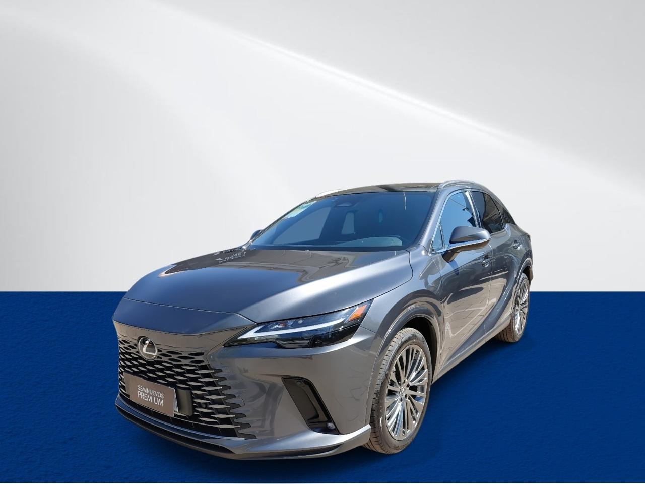 Station Wagon Lexus Rx